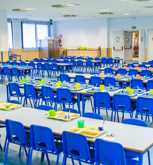 El colegio: primeras lecciones sobre alimentación saludable