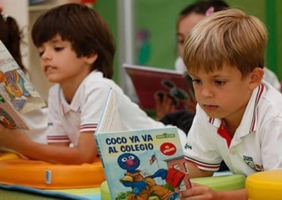 Learning to read in primary school