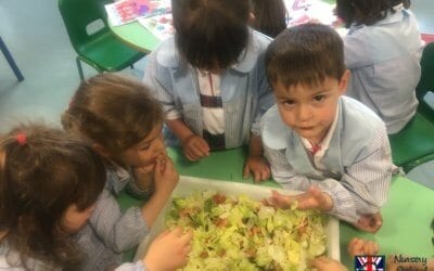 Alimentación en la etapa de crecimiento