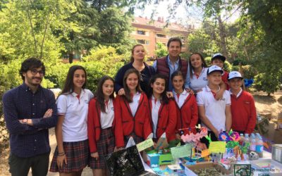 Logos International School, premiado con la bandera verde de Ecoescuelas